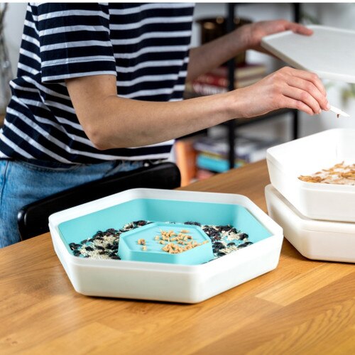 The Bug Factory Mealworm Growing Pods Monkfield Reptile